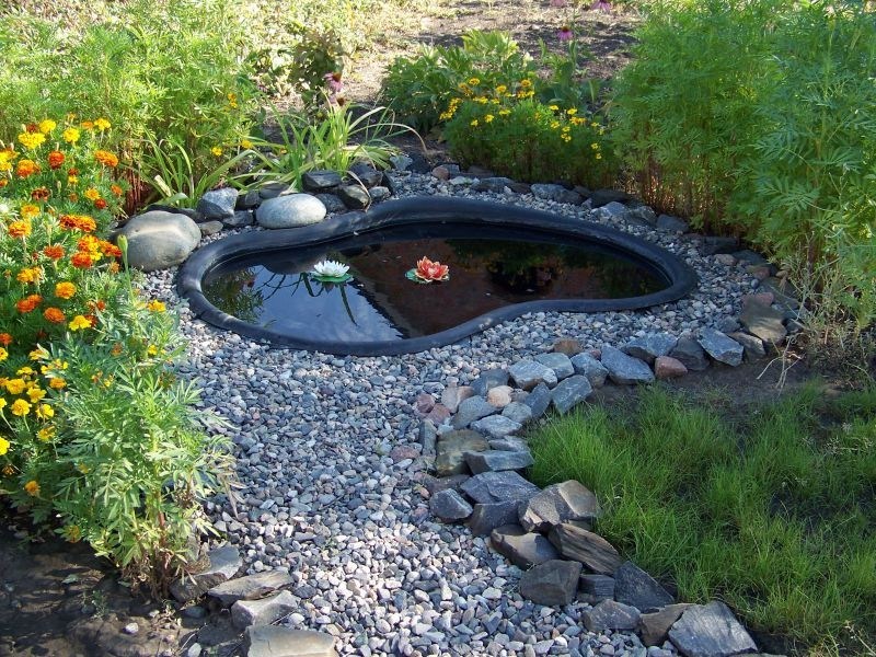 Личный водоем: как сделать пруд на загородном участке